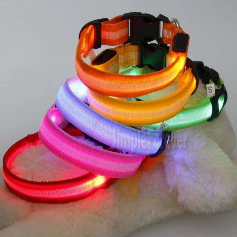 LED Glowing Night Safety Collar - Image 3