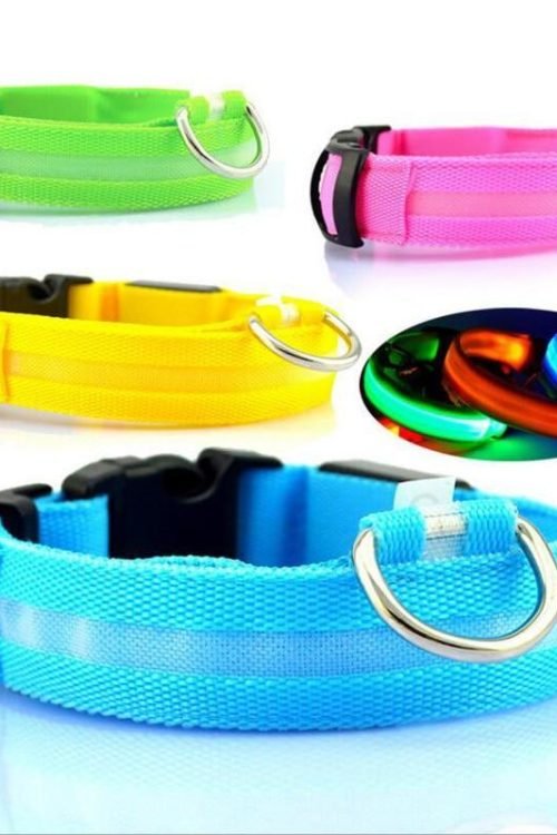 LED Glowing Night Safety Collar