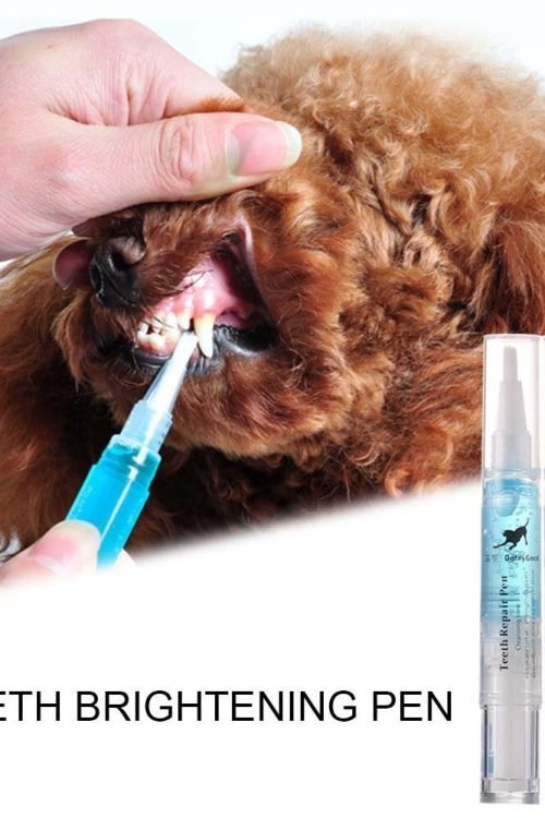 Pet Teeth Cleaning Pen