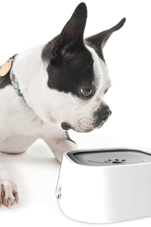 No-Spill Vehicle Dog Water Bowl