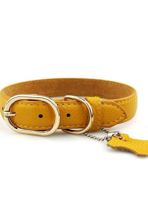 Leather Dog Neck Collar with Hangtag