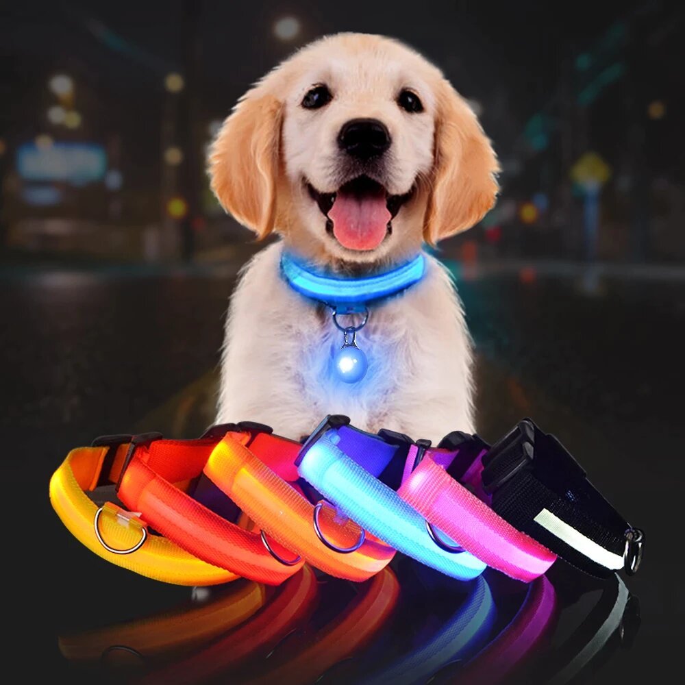LED Glowing Night Safety Collar - Image 2