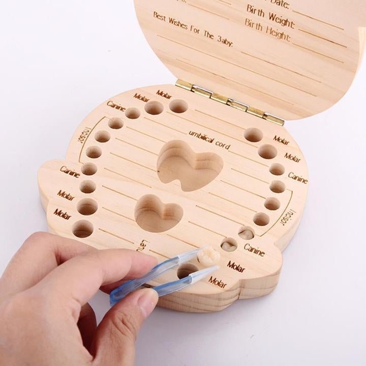 Baby Wooden Teeth Organizer - Image 3