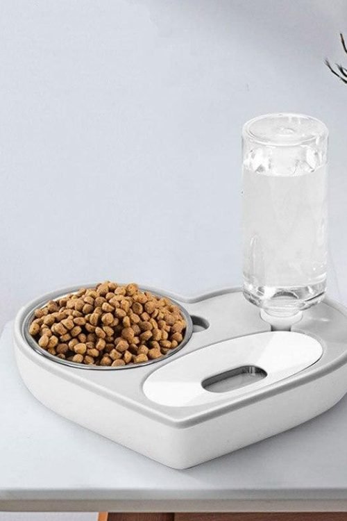 2 In 1 Water Dispenser and Food Container