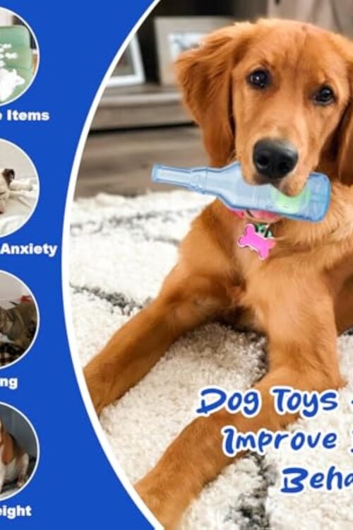 Water Bottle Cruncher Squeaky Dog Toy