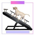 Foldable Dog Car Ramp Steps