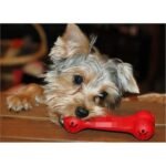 Bite-Resistant Rubber Chew Toy