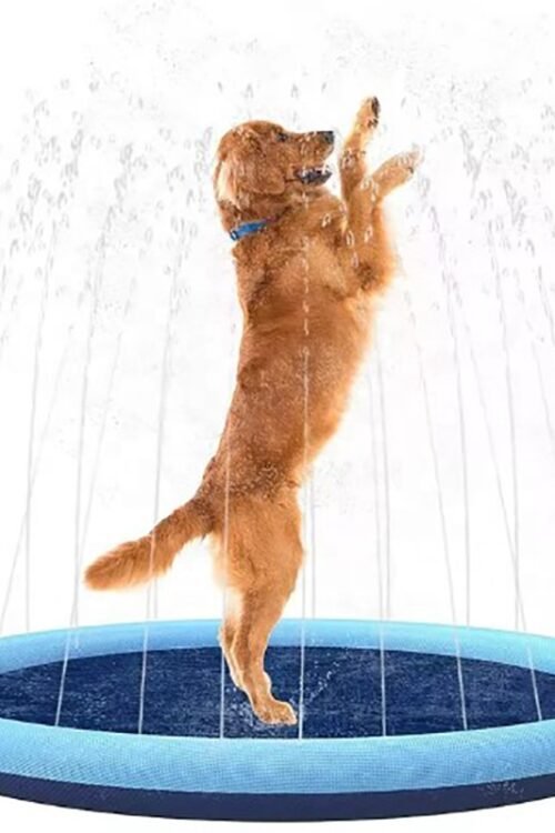 Outdoor Dog Sprinkler Splash Pad