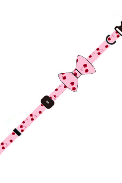 Dog Leash and Harness Set