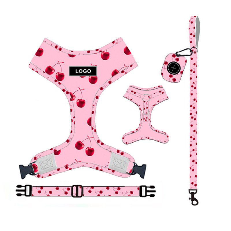 Dog Leash and Harness Set