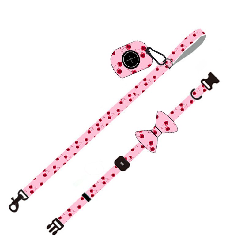 Dog Leash and Harness Set