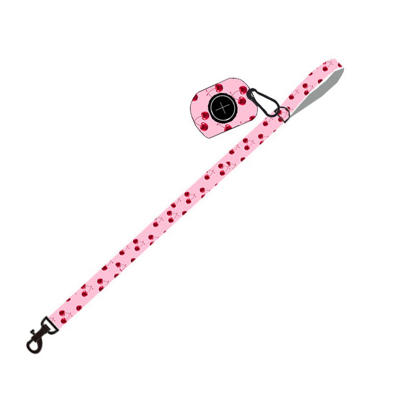 Dog Leash and Harness Set