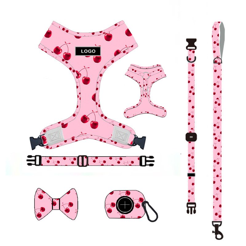 Dog Leash and Harness Set