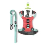 No-Pull Dog Leash Set