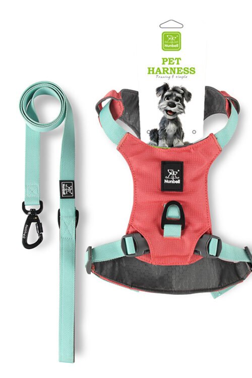 No-Pull Dog Leash Set