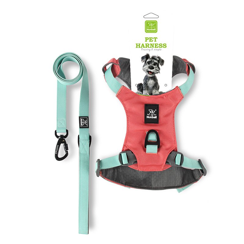 No-Pull Dog Leash Set